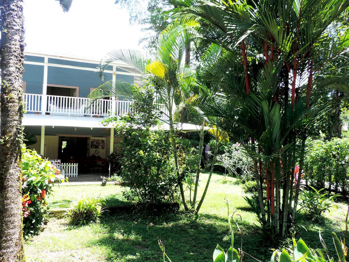 Rosa Lodge Cahuita Esterno foto