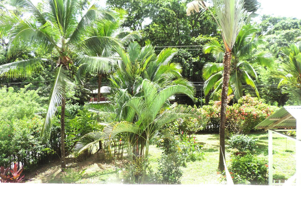 Rosa Lodge Cahuita Esterno foto